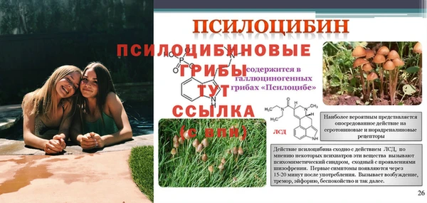 МДПВ Навашино