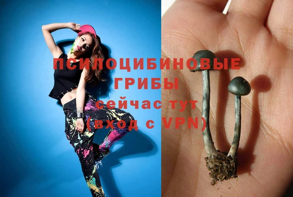 мдпв Нефтегорск