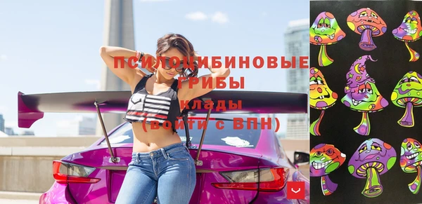 МДПВ Навашино